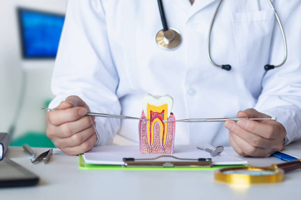 Dentist for Dental Trauma in NE